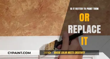 Trim Transformation: Paint or Replace?