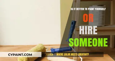 Save Time or Money: DIY or Hire a Painter?