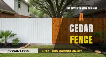 Enhancing Your Cedar Fence: The Great Stain vs. Paint Debate