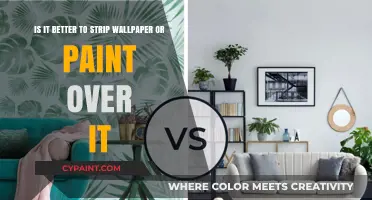 Wallpaper vs. Paint: The Ultimate Guide to Transforming Your Walls