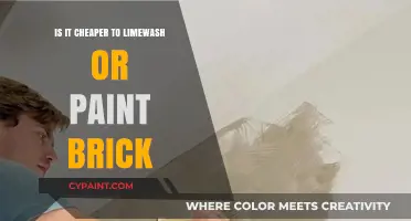 Limewash vs. Paint: Cost-Effective Ways to Transform Your Brick Exterior