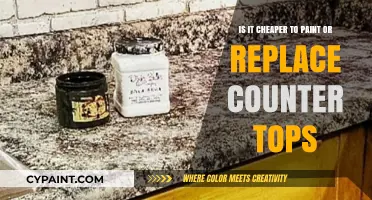 Painting Countertops: A Cost-Effective Alternative to Replacement