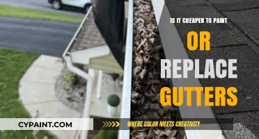 Painting vs. Replacing Gutters: Which Option Saves You More Money?
