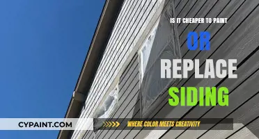 Painting vs. Replacing Siding: Which Option Saves You More Money?
