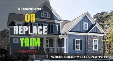 Painting vs. Replacing Trim: Which Option Saves You More Money?