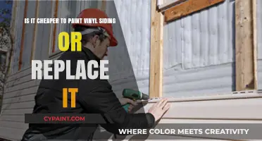 Revamping Your Home's Exterior: Painting vs. Replacing Vinyl Siding - Cost Breakdown and Decision Guide