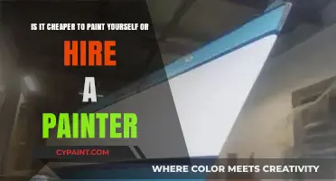 DIY vs. Hiring a Pro: Cost Comparison for Your Painting Project