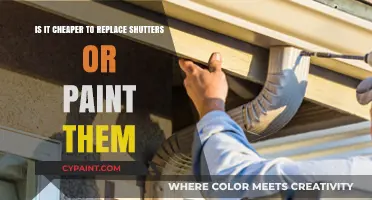 Revamping Shutters: Paint or Replace?
