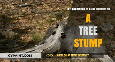 The Hidden Dangers of Painting Roundup on Tree Stumps: A Comprehensive Guide