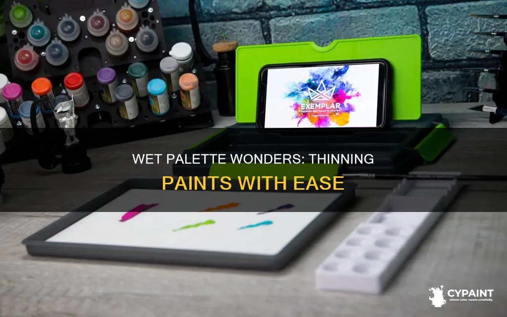 is it easier to thin paints on wet palette