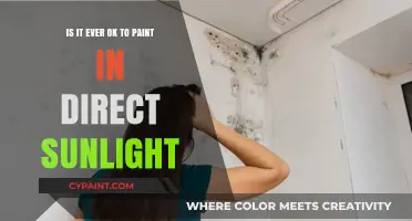 Painting in Sunlight: Is it Ever Okay?