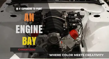 Painting Your Engine Bay: Cost-Effective or Pricey Upgrade?