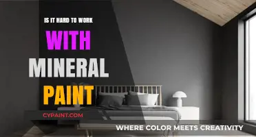 Working with Mineral Paint: Challenges and Tips for a Smooth Finish