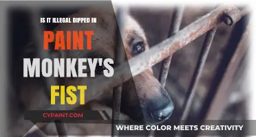 The Murky Legality of Paint-Dipped Monkey Fists