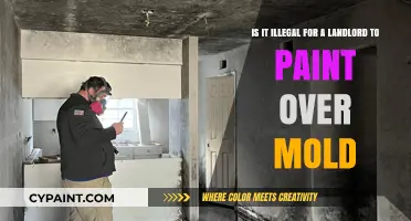 Uncovering the Truth: Landlord's Guide to Mold Remediation Responsibilities