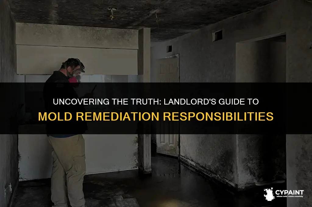 is it illegal for a landlord to paint over mold