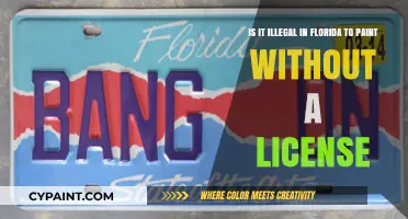 Unlicensed Artistry: The Legalities of Painting in Florida
