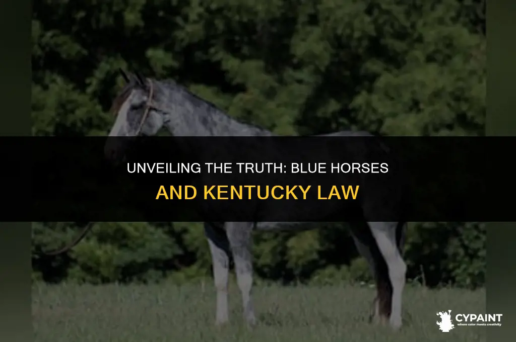 is it illegal in kentucky to paint a horse blue