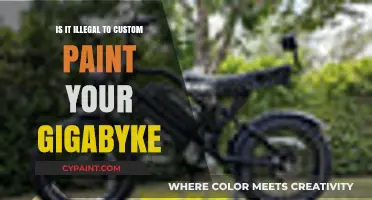 Custom Painting Your Gigabyke: Legal or Illegal? What You Need to Know