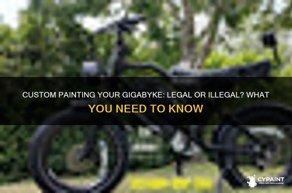 is it illegal to custom paint your gigabyke