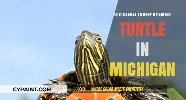 Michigan's Painted Turtle Laws: What You Need to Know