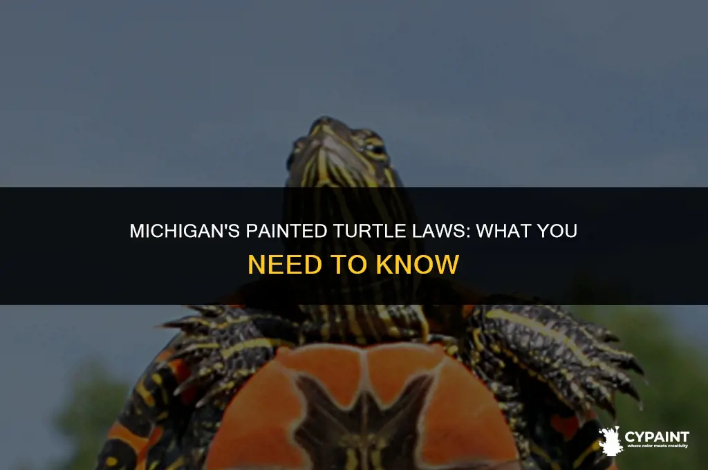 is it illegal to keep a painted turtle in michigan