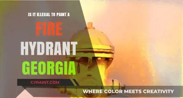Georgia's Fire Hydrant Painting: Art or Crime?