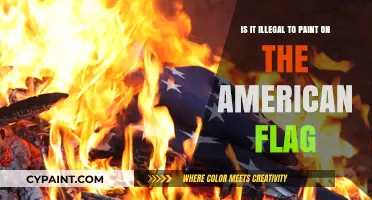The American Flag: Painting and Legal Boundaries