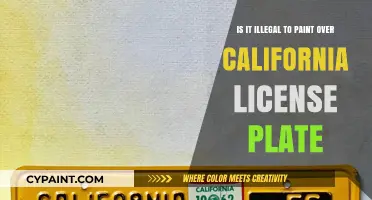 License Plate Art: Legal or Not?