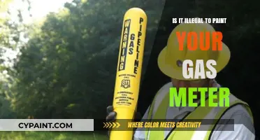 Painting Your Gas Meter: Legal Consequences and Safety Concerns Explained