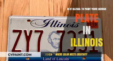 Unveiling the Truth: Painting Your License Plate in Illinois - Legal or Not?