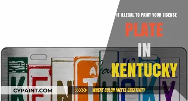 Unveiling the Truth: Painting Your License Plate in Kentucky - Legal or Not?