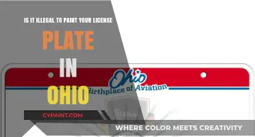 Ohio License Plate Laws: Can You Customize Your Plate's Color?