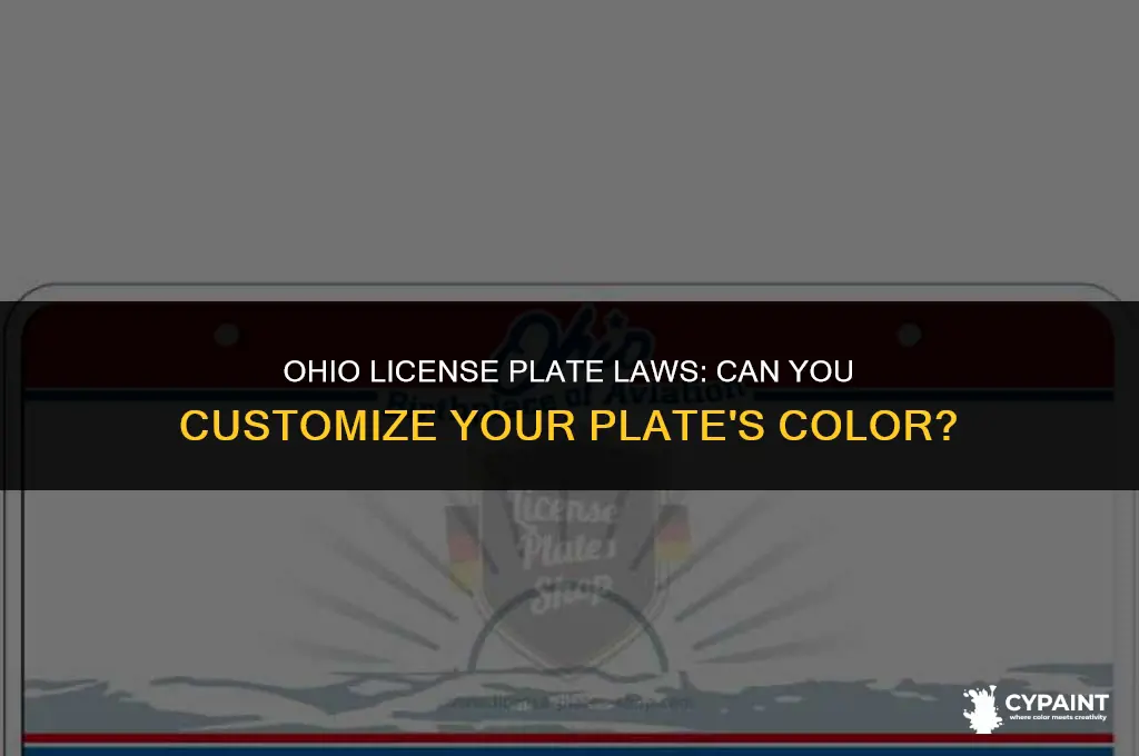 is it illegal to paint your license plate in ohio