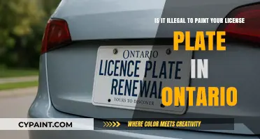 Ontario License Plate Laws: Can You Customize Your Plate's Look?