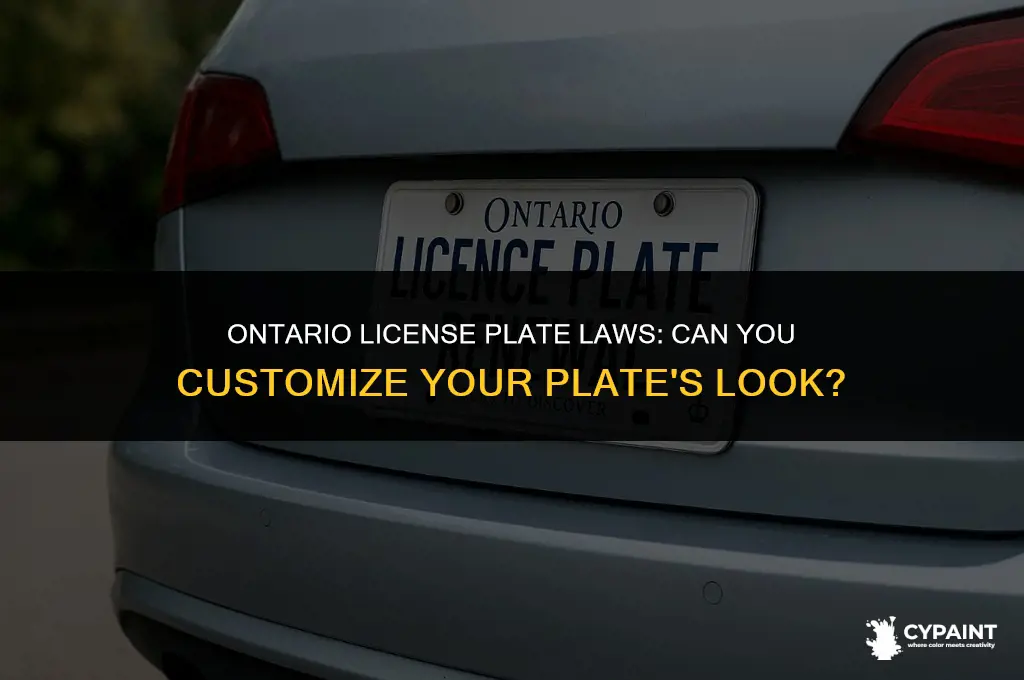 is it illegal to paint your license plate in ontario