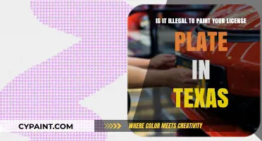 Unveiling the Truth: Painting Your License Plate in Texas - Legal or Not?