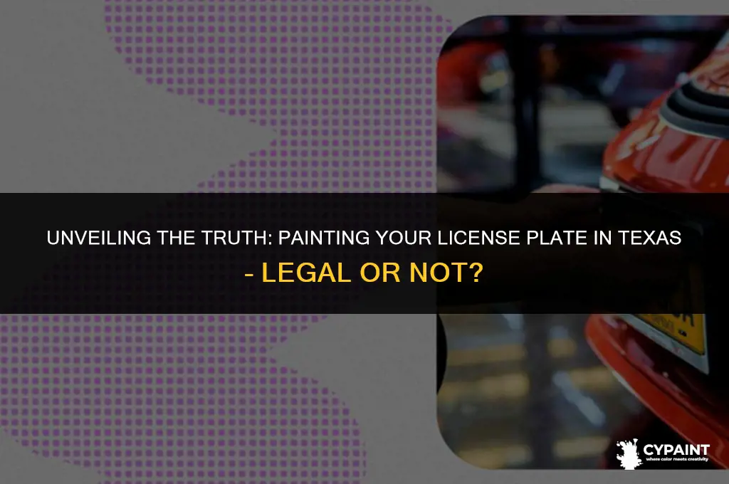 is it illegal to paint your license plate in texas