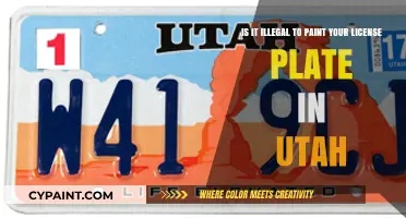 Utah License Plate Laws: Can You Customize Your Plate's Color?