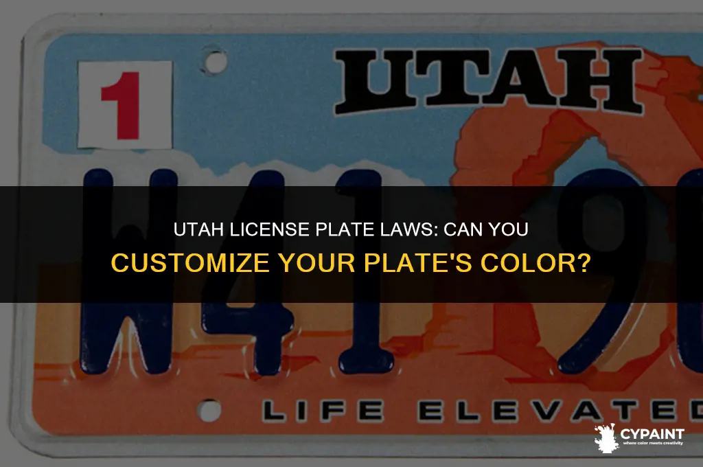 is it illegal to paint your license plate in utah