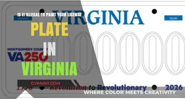 Virginia License Plate Laws: Can You Customize Your Plate's Color?