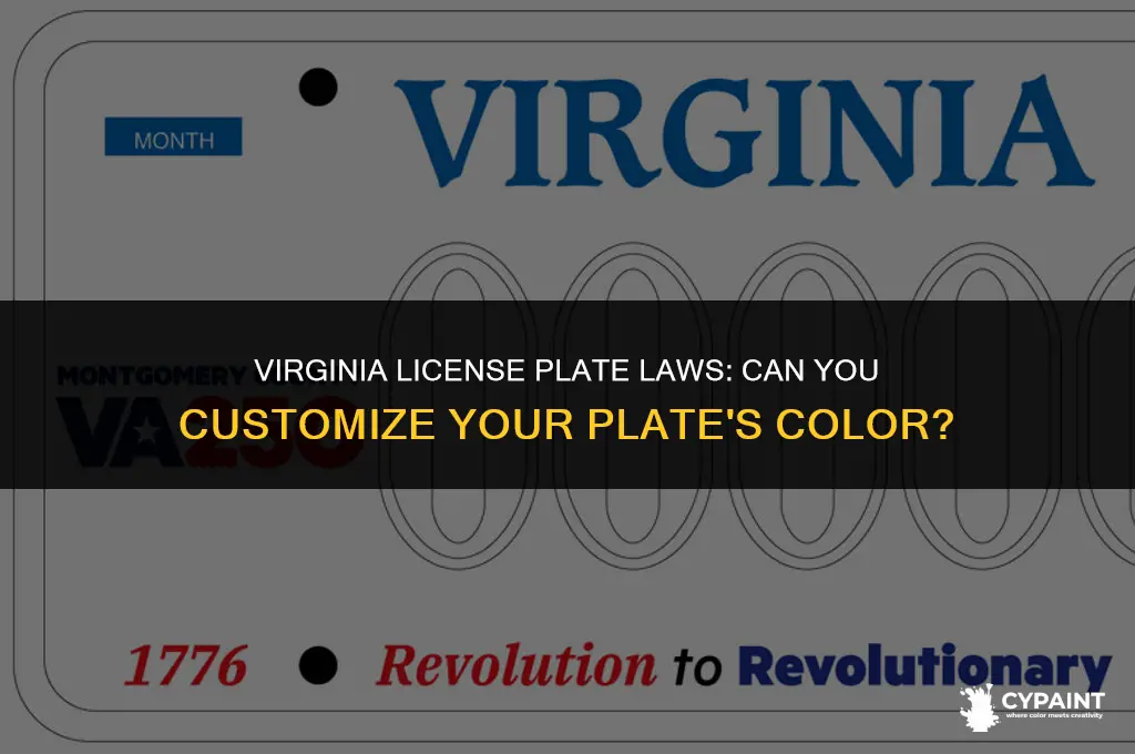 is it illegal to paint your license plate in virginia