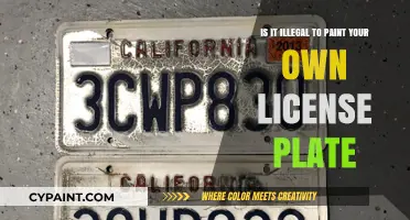 Customizing License Plates: Illegal or Not?