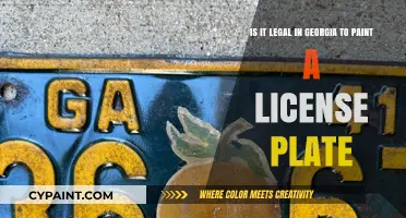 Georgia License Plate Painting: Legal or Illegal?