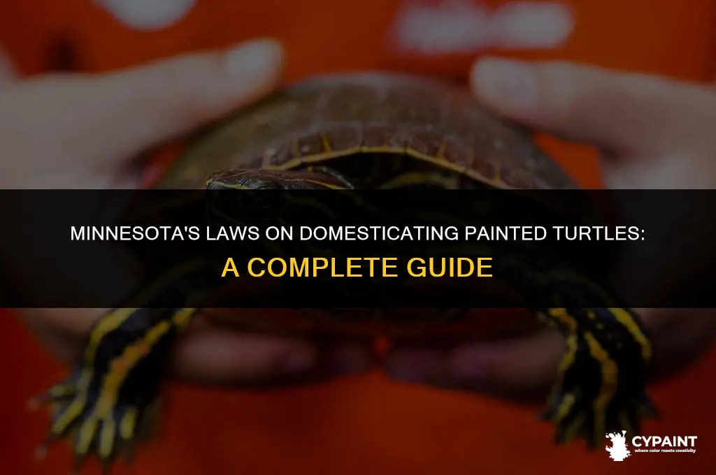 is it legal to domesticate a painted turtlw in minnesota