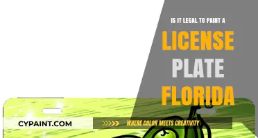 License Plate Customization: Legal in Florida?