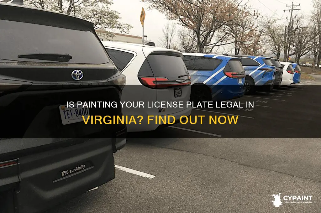 is it legal to paint license plate virginia