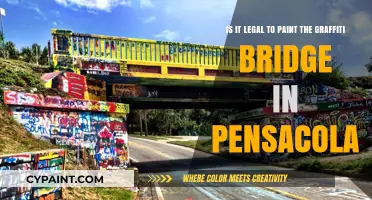 Legal Guide to Graffiti Art: Pensacola's Bridge Painting Laws Explained