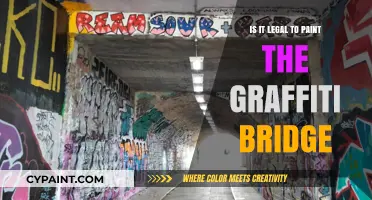 Is Painting the Graffiti Bridge Legal? Exploring the Laws and Ethics