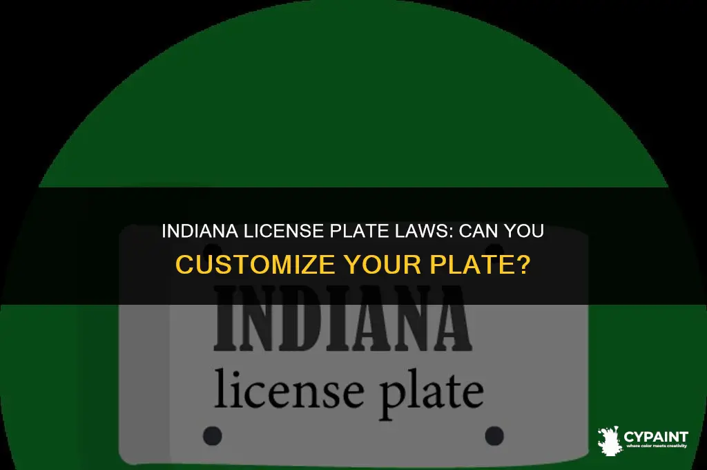 is it legal to paint your license plate in indiana
